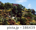 能登の紅葉