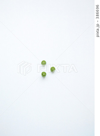 蓮の茎の断面 蓮の茎の断面