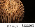 金枝垂れ