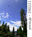 空・鳥