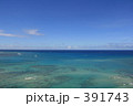 海