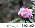 ささやき