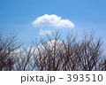 冬の空