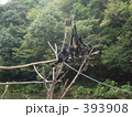 クモザルファミリー