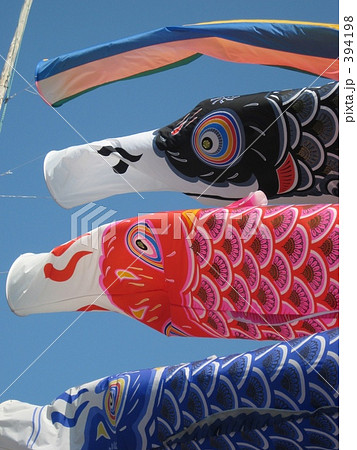 「鯉のぼり 成長 元気 祝い 」の写真素材
