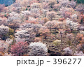 花じゅうたん