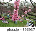 2005札幌市平岡公園の梅林