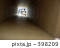 獲物を狙う顔