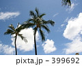 ヤシの木と青空