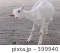 やぎ