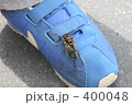 ぼくの靴と蝉