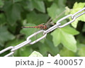秋やな