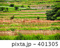 田舎の風景