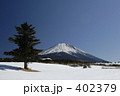 富士山と一本の木