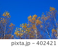 秋晴れと紅葉