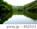 沼