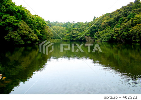 「沼」の写真素材