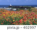 花畑から望む東平安名埼