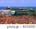 展望台の花畑から東平安名崎を望む