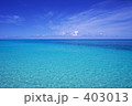 沖縄の緑（下地島)