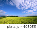 北海道の青空