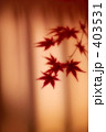 紅葉 02