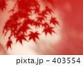 紅葉 03