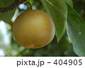 なし