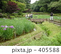 薬師池公園のショウブ園