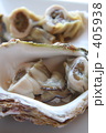 天然岩牡蠣