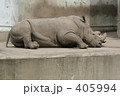 サイの昼寝
