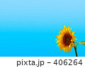 向日葵０８