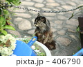 そっぽ向く