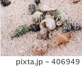いろどり