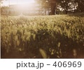 夕方