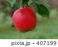 真っ赤なりんご