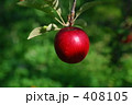 紅玉