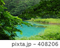 素材ナンバー 408206 : 「湖　森林」