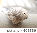 オカメインコ（全身俯瞰）