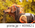 ポートレート 屋外 その他カラー