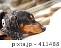 411488