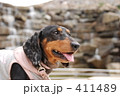 411489