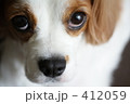 「犯罪撲滅！」の写真 [412059]