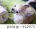 遊んでる最中なのっ