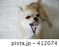 ヒモのところが好きなの