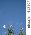 空と花