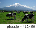 富士山と牛