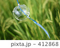 風鈴と緑　稲