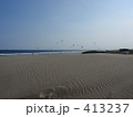 砂浜に飛ぶ