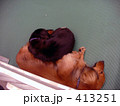 犬の添い寝